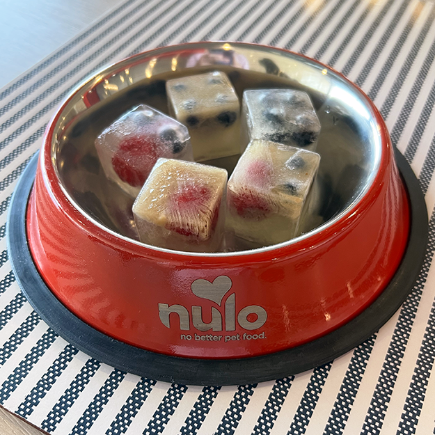 Icy pupsicles in a pet food dish to help dogs beat the heat